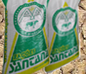 Ra&ccedil;&otilde;es Santana