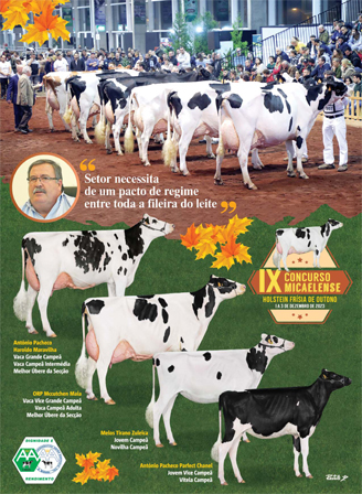 IX Concurso Micaelense de Outono (Revista)