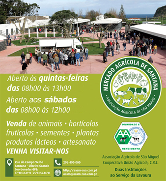 MERCADO AGR COLA DE SANTANA